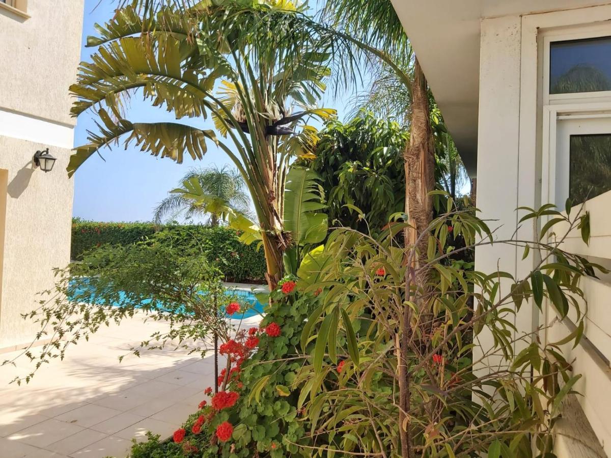 Anthorina Villa 8 Protaras Dış mekan fotoğraf